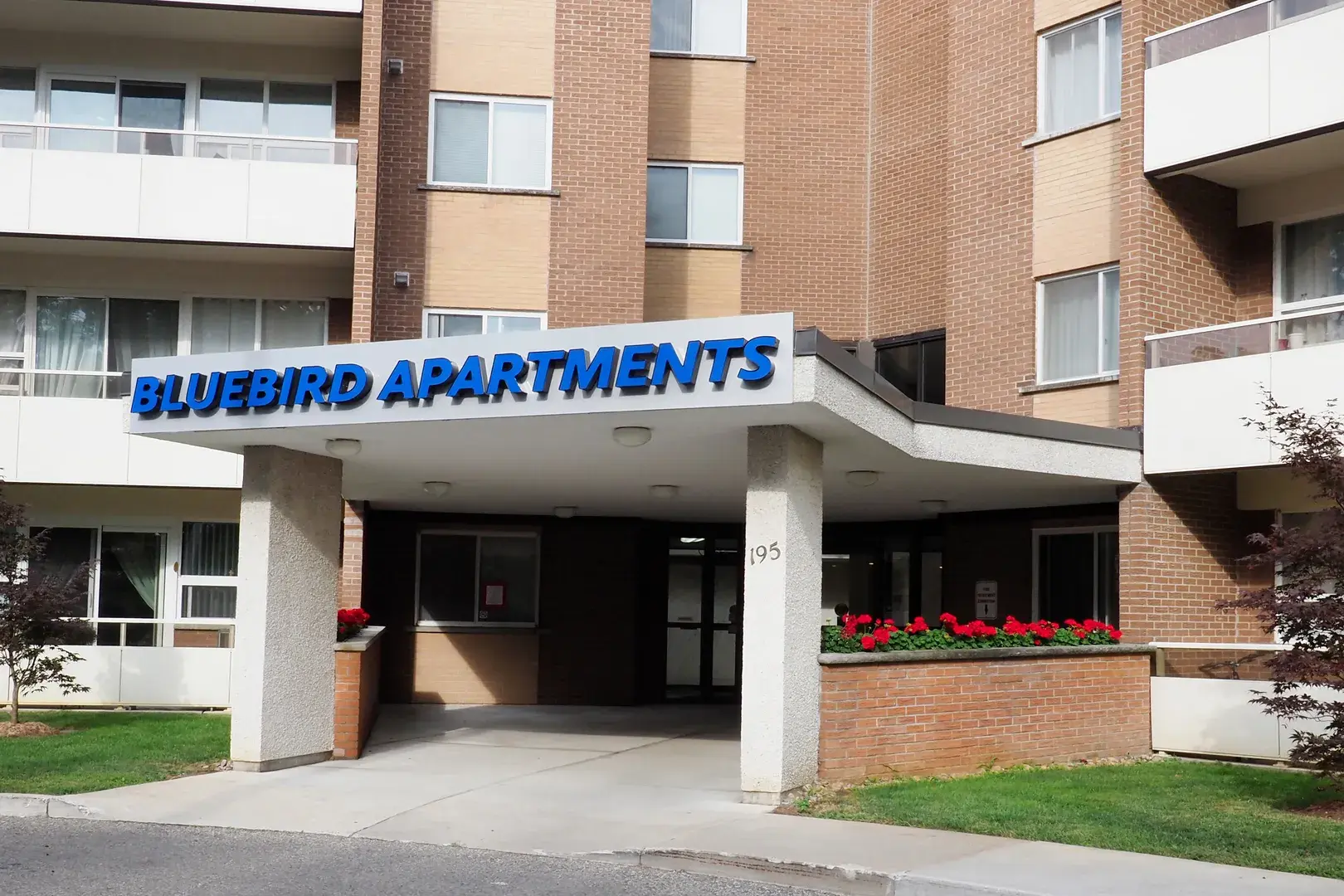 Bluebird Apartments — photo 4 of 9